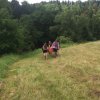 IMG_0510