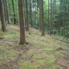 17 Scouttown- Gaupfila