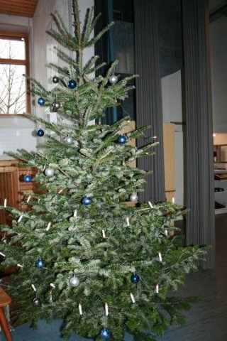 19 Weihnachtsfeier