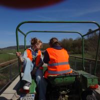 DSC02512_Bearbeitet