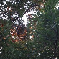 DSC03441