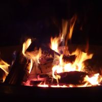 DSC03528