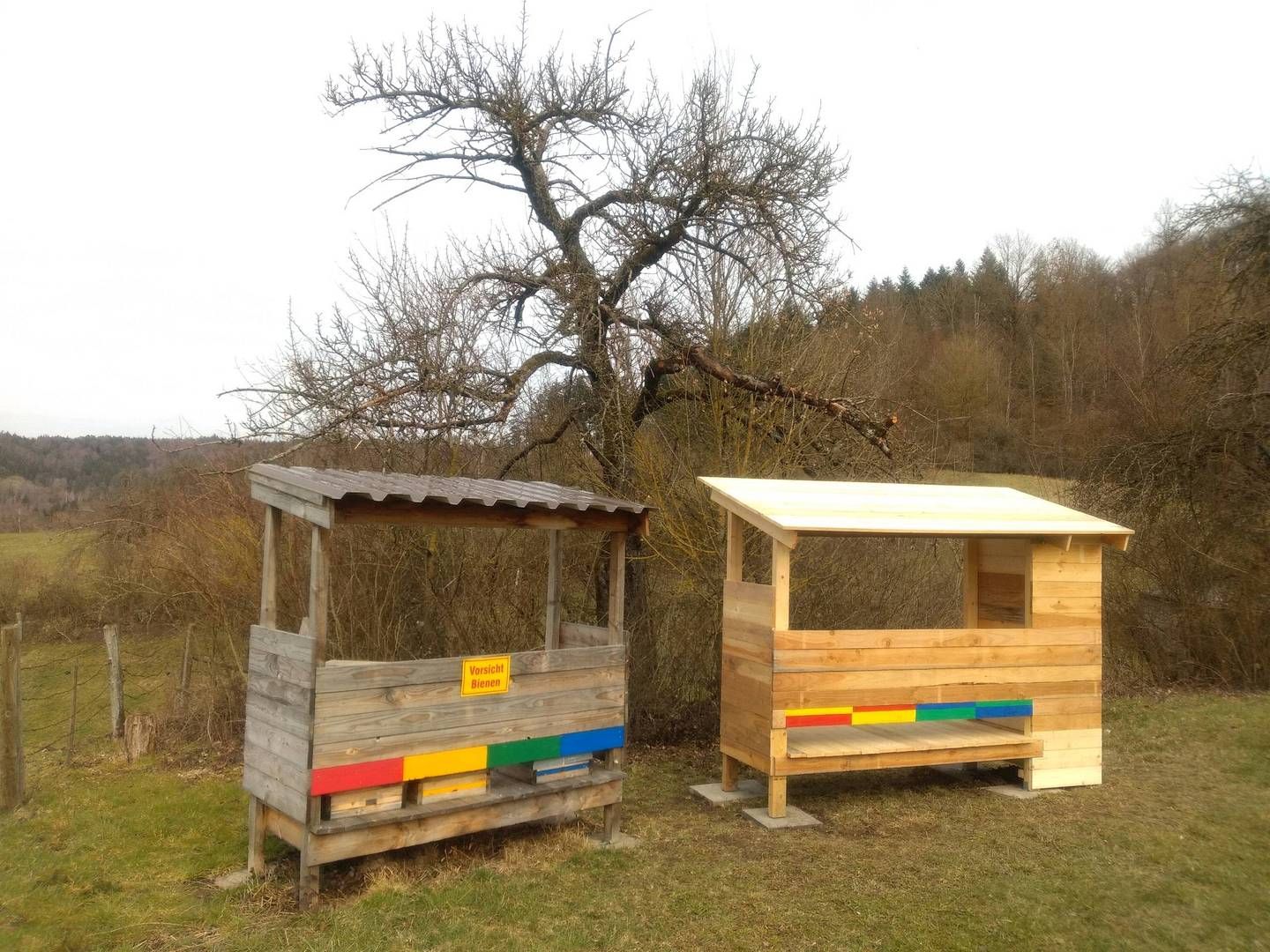 2021_03_Bienen_Fruehjahr_006