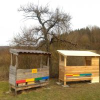 2021_03_Bienen_Fruehjahr_006