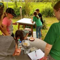 2024_07_27_Kinder_Ferienprogamm_005