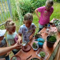 2024_07_27_Kinder_Ferienprogamm_011