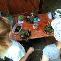 2024_07_27_Kinder_Ferienprogamm_015