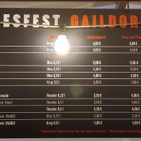 2024_07_Bluesfest_038