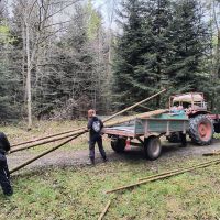 2025_04_26_Stangenschlagen_002