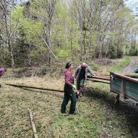 2025_04_26_Stangenschlagen_005