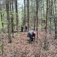 2025_04_26_Stangenschlagen_007