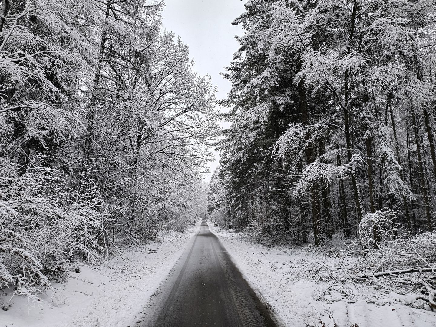 2026_01_09-11_Wila_028