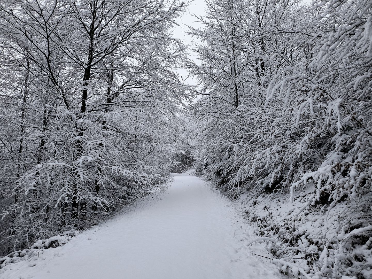 2026_01_09-11_Wila_029