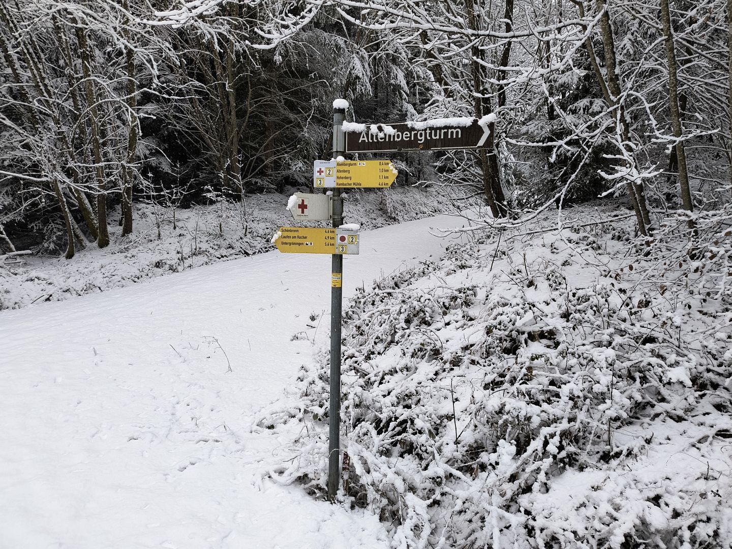 2026_01_09-11_Wila_030