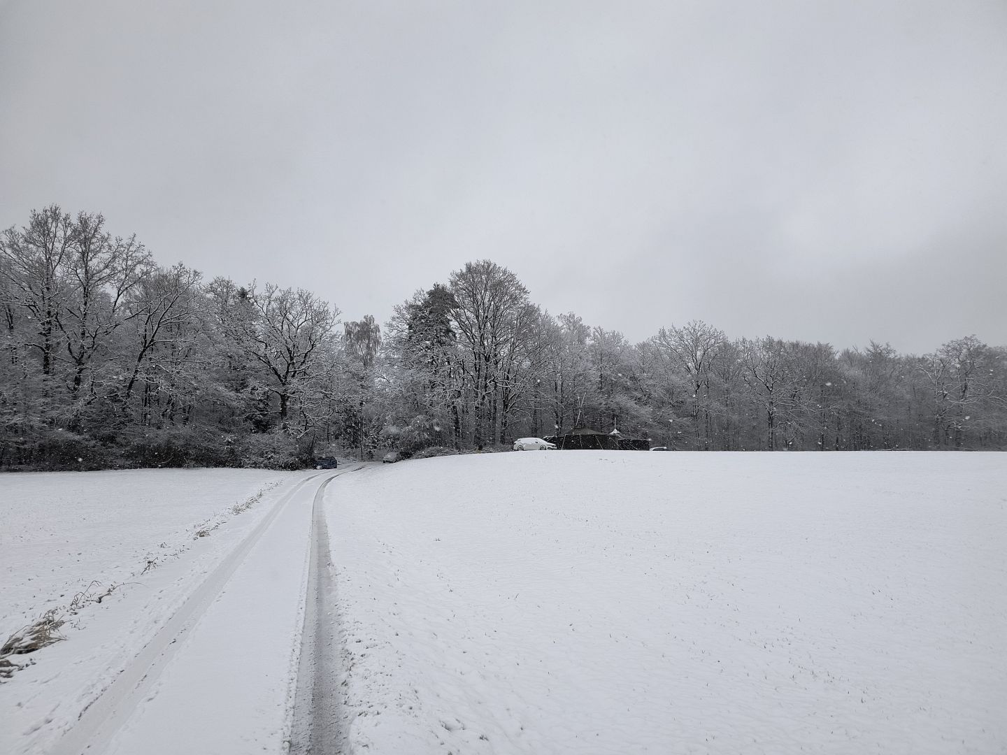 2026_01_09-11_Wila_032