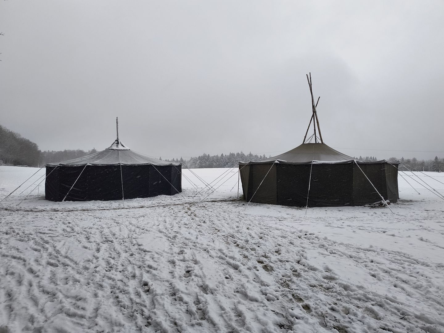 2026_01_09-11_Wila_037