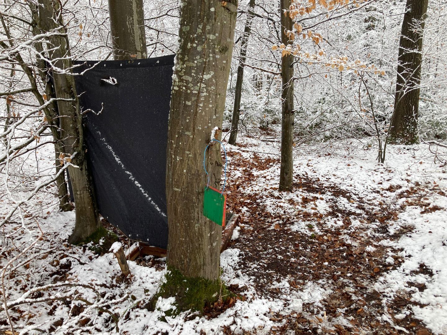 2026_01_09-11_Wila_052