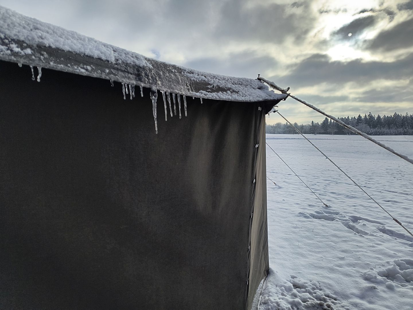 2026_01_09-11_Wila_066