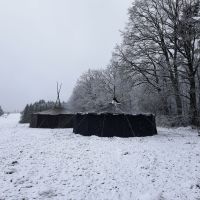 2026_01_09-11_Wila_027