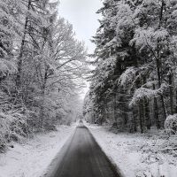 2026_01_09-11_Wila_028