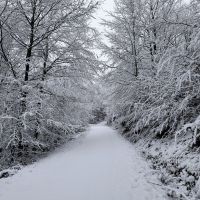 2026_01_09-11_Wila_029