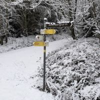 2026_01_09-11_Wila_030