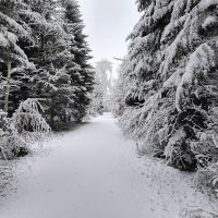 2026_01_09-11_Wila_031