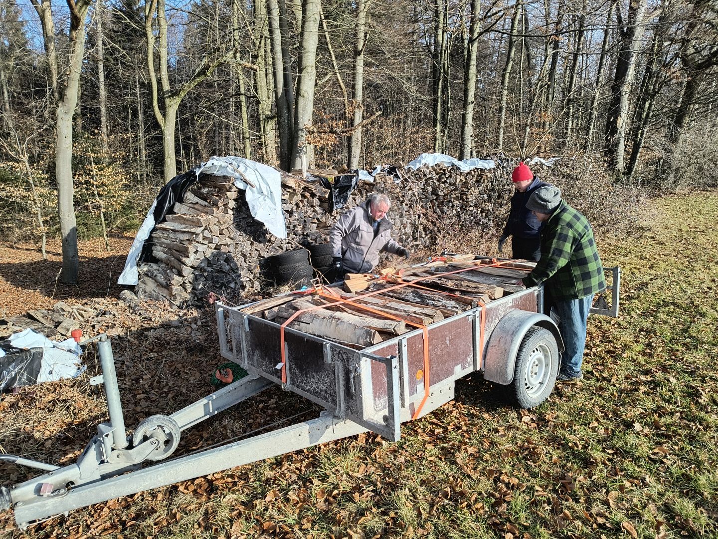 2026_01_24_Brennholz_001