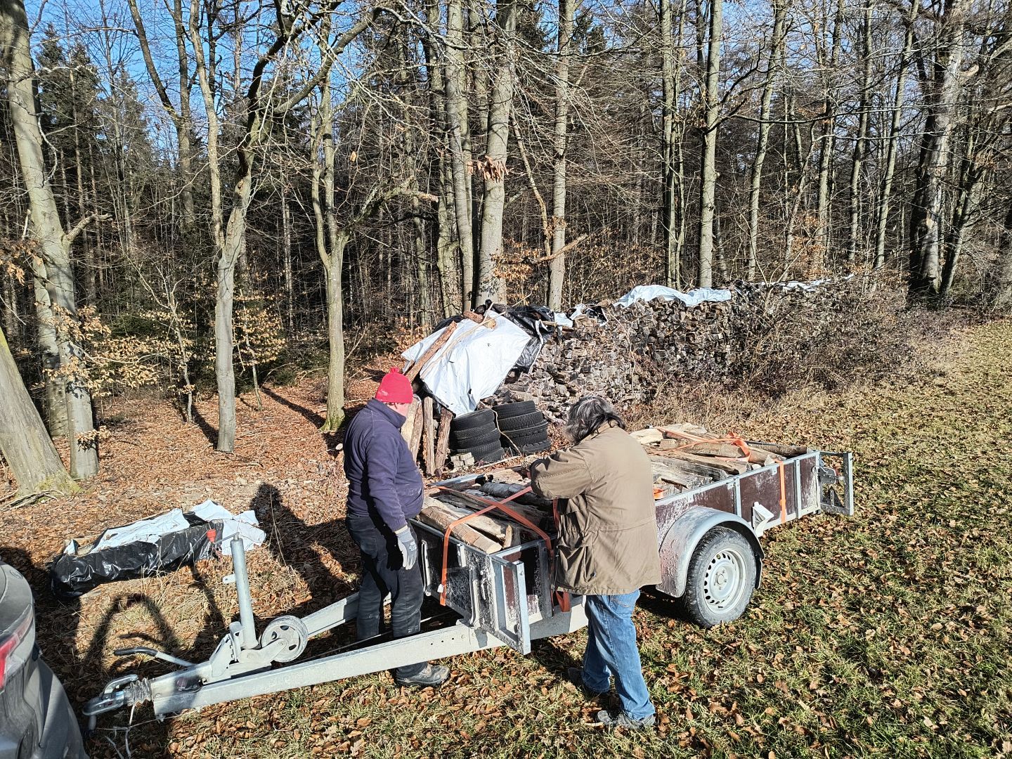 2026_01_24_Brennholz_003