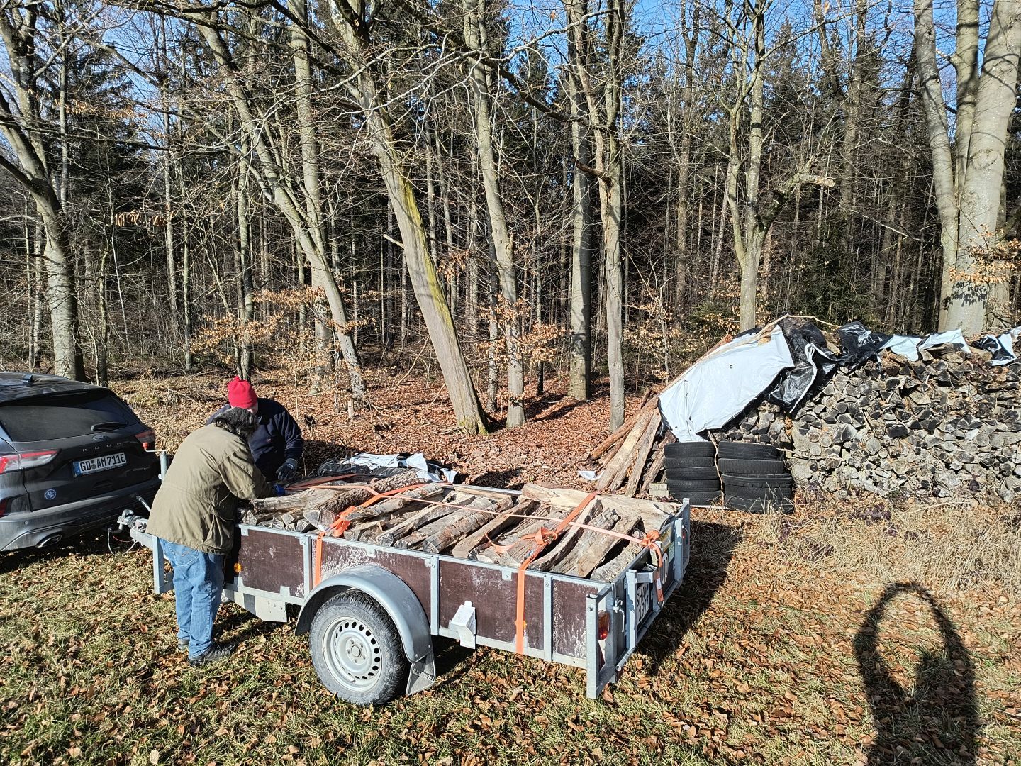 2026_01_24_Brennholz_004