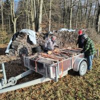 2026_01_24_Brennholz