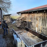 2026_01_24_Brennholz_005