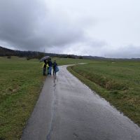 2026_03_14_Stadtputzete_002