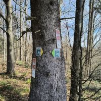 2026_04_06_Geb_Aktion